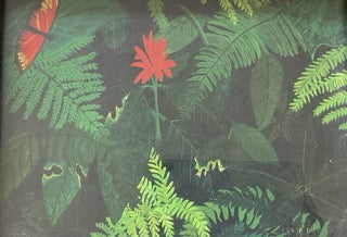 Tropical forest