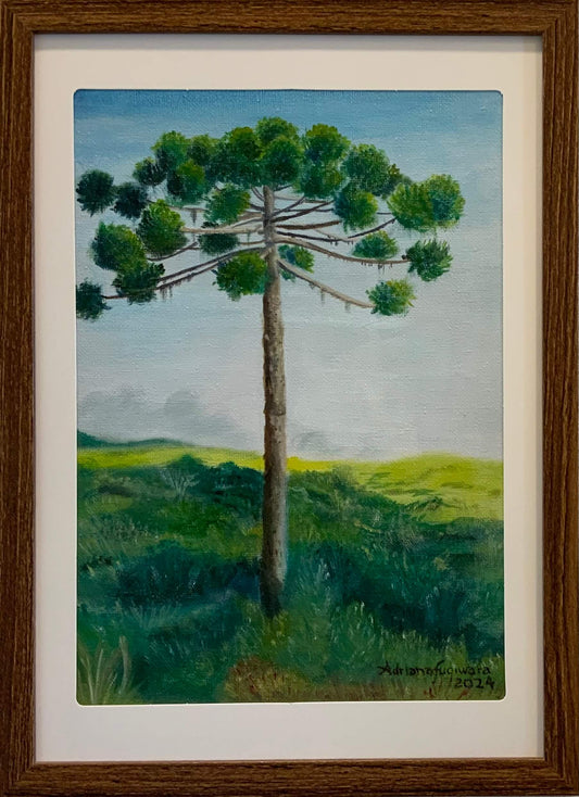 Araucária