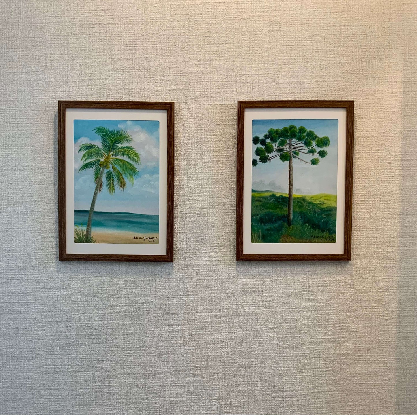 Araucária