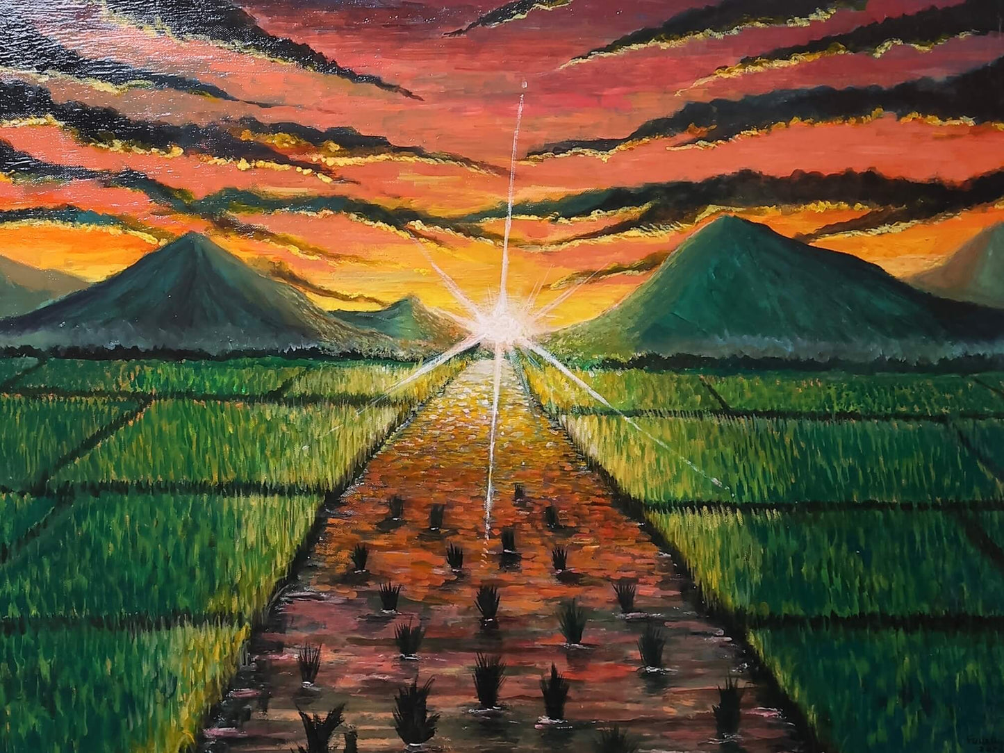 The Rice Field(O Campo de Arroz) / 90x 65 cm