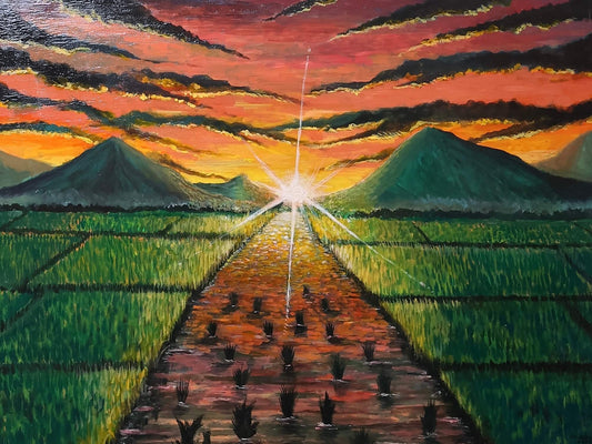 The Rice Field(O Campo de Arroz) / 90x 65 cm